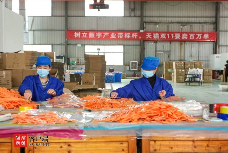 雙十一小家電銷(xiāo)量火爆的背后 日用百貨變身購(gòu)物車(chē)的?？?></a></div>
<div   id=